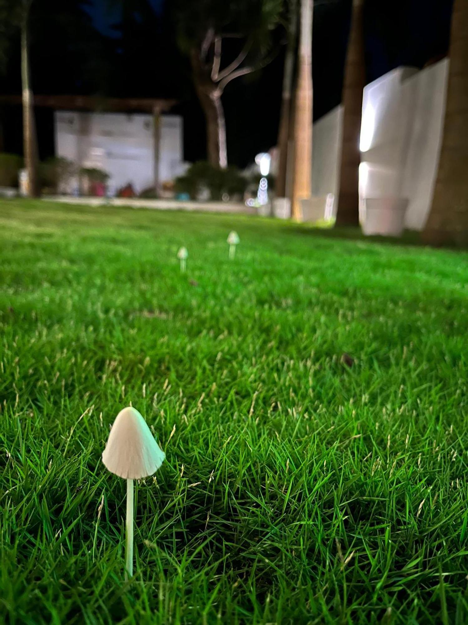 14 Magic Pods Hotel Morjim Kültér fotó
